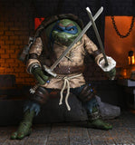 Universal Monsters x Teenage Mutant Ninja Turtles: Ultimate Leonardo as The Hunchback