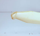 Playmates Toys Superhuman Samurai Syber-Squad: Samurai Synch-Sword (1994)