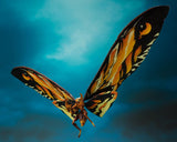 Godzilla King of the Monsters S.H. MonsterArts Mothra & Rodan Two-Pack