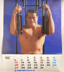 New Japan Pro Wrestling 1996 Calendar