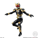 Kamen Rider SHODO VS 9 Set of 5 Figures