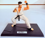 Sega Virtua Fighter 4 Collection Figure: Akira Yuki