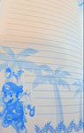 Famitsu Cube Advance September Issue Supplement Super Mario Sunshine Notebook & Pencil Board Set