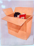 TAIYOU by Taiyo Matsumoto : Self-selected art collection (Japanese Language)