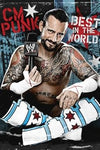 WWE: CM Punk: Best in the World 3 Disc DVD W/CM Punk Wrist Bands