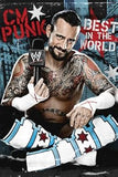 WWE: CM Punk: Best in the World 3 Disc DVD W/CM Punk Wrist Bands