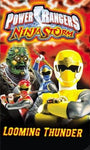 Power Rangers Ninja Storm: Looming Thunder VHS