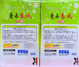 SEGA Neon Genesis Evangelion Vignetteum: Rei Ayanami & Asuka Langley Soryu Statue Set 2009