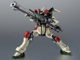 Mobile Suit Gundam SEED Robot Spirits: GAT-X103 Buster Gundam (Ver. A.N.I.M.E.)