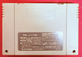 Super Famicom J.League Excite Stage '95 (Cart Only)