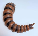 Godzilla vs. Mothra S.H. MonsterArts Mothra and Battra Larva Action Figure Set (Loose)