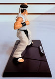 Sega Virtua Fighter 4 Collection Figure: Akira Yuki