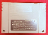Super Famicom: Super Fire Pro Wrestling (Cart Only)