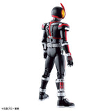 Kamen Rider Figure-rise Standard - Kamen Rider Faiz