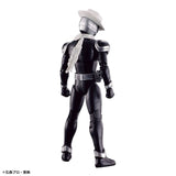 Kamen Rider Figure-rise Standard - Kamen Rider Skull