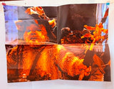 Star Wars Return of the Jedi Double-Sided Poster: Luke & Leia/Logray 1983