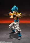 Dragon Ball Super S.H.Figuarts: Super Saiyan God Super Saiyan Gogeta