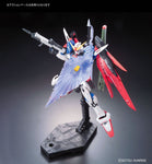 RG #011 GMF-X42S Destiny Gundam